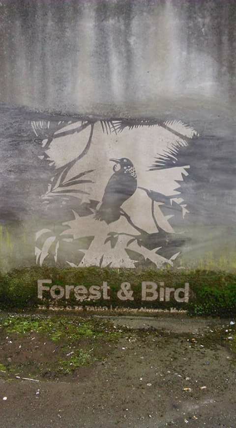 Forest and Bird